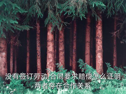 沒有簽訂勞動 合同要求賠償怎么證明兩者存在合作關(guān)系