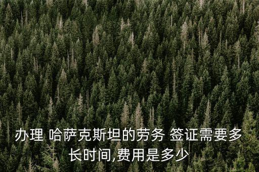 哈薩克斯坦簽證,kezek2哈薩克斯坦簽證