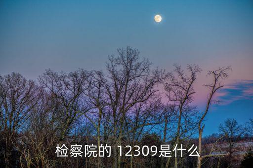  檢察院的 12309是什么