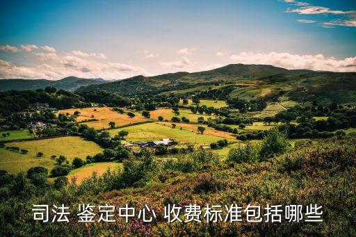 鑒定機(jī)構(gòu)怎么收費(fèi)的,汽車(chē)鑒定機(jī)構(gòu)怎么收費(fèi)