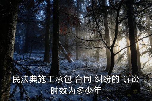 民法典施工承包 合同 糾紛的 訴訟時(shí)效為多少年