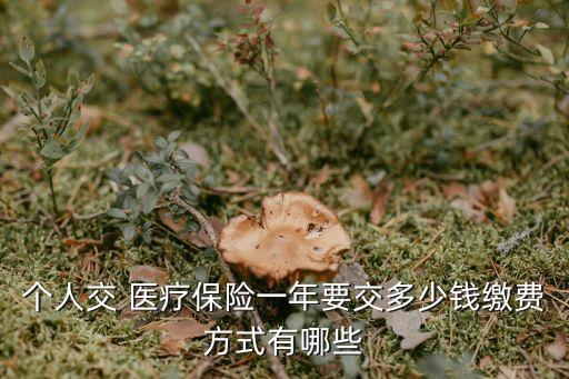 個人交 醫(yī)療保險一年要交多少錢繳費方式有哪些