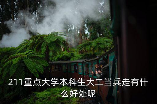 211重點(diǎn)大學(xué)本科生大二當(dāng)兵走有什么好處呢