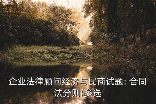 企業(yè)法律顧問經(jīng)濟(jì)與民商試題: 合同法分則(多選