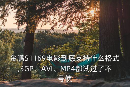 金鵬S1169電影到底支持什么格式,3GP、AVI、MP4都試過了不號(hào)使