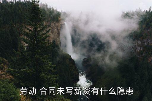  勞動(dòng) 合同未寫薪資有什么隱患