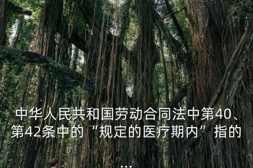 勞動法第9條是什么意思