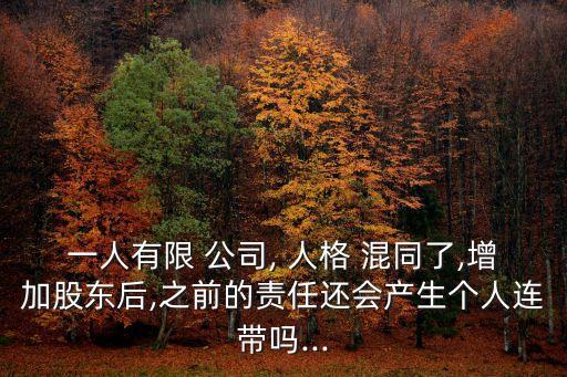 公司人格混同