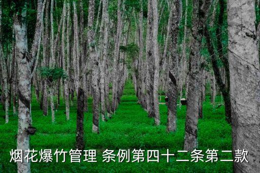 煙花爆竹管理 條例第四十二條第二款