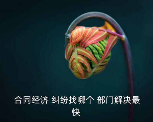 合同法律糾紛咨詢哪個(gè)部門
