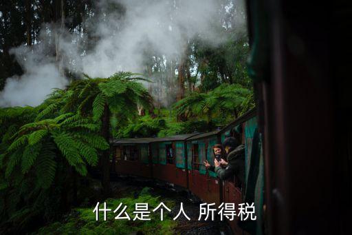 個稅所得稅,個人所得稅匯算清繳