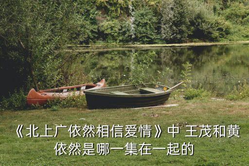 《北上廣依然相信愛情》中 王茂和黃依然是哪一集在一起的