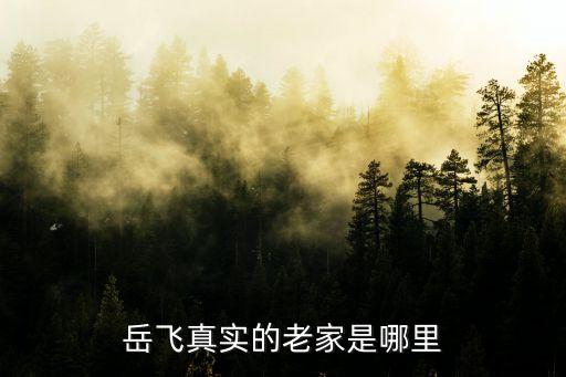 岳飛真實的老家是哪里