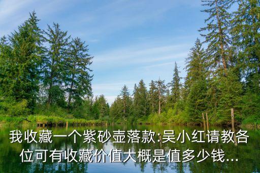 我收藏一個紫砂壺落款:吳小紅請教各位可有收藏價值大概是值多少錢...