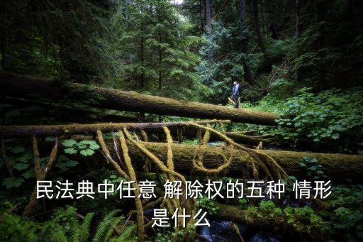 民法典合同解除的五種情形,單方違約解除合同賠償