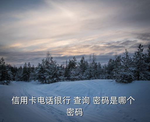 信用卡電話銀行 查詢 密碼是哪個(gè) 密碼