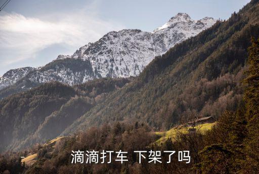 滴滴為什么下架,滴滴怎么開