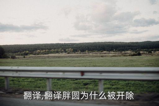 開除翻譯,翻譯胖圓為什么被開除