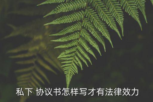  私下 協(xié)議書(shū)怎樣寫(xiě)才有法律效力