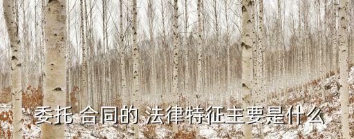法律服務(wù)委托合同是什么
