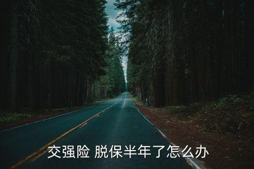  交強(qiáng)險(xiǎn) 脫保半年了怎么辦