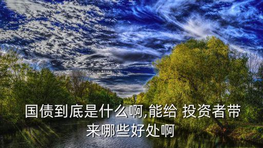 國(guó)債投資