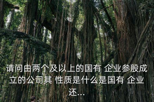 請問由兩個及以上的國有 企業(yè)參股成立的公司其 性質(zhì)是什么是國有 企業(yè)還...