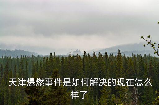 天津爆炸案,11.25天津爆炸案