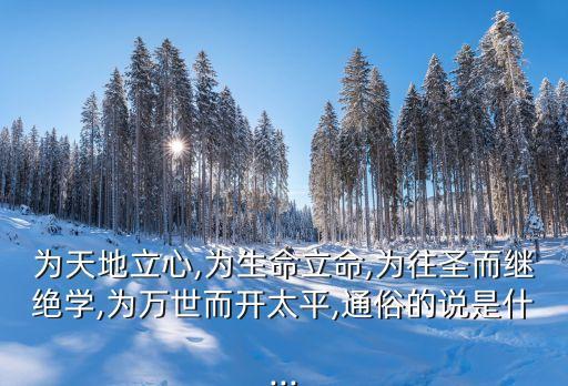 為天地立心,為生命立命,為往圣而繼絕學(xué),為萬世而開太平,通俗的說是什...