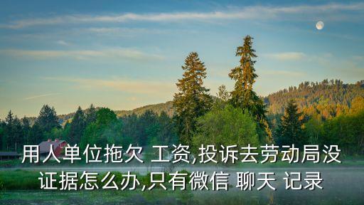 用人單位拖欠 工資,投訴去勞動局沒證據(jù)怎么辦,只有微信 聊天 記錄
