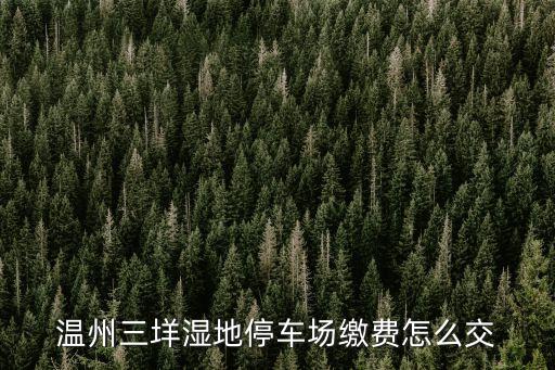 溫州三垟濕地停車場繳費(fèi)怎么交