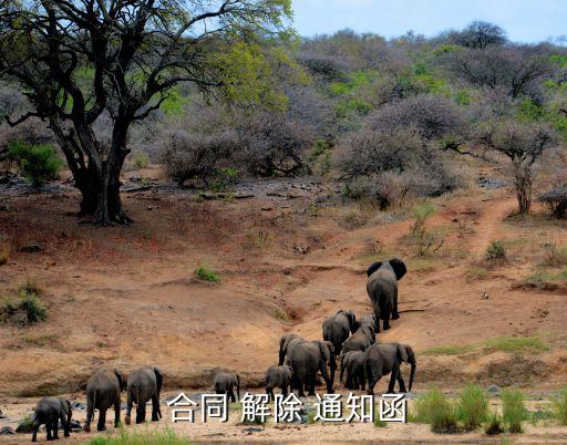書面通知解除合同,提前一個月書面通知解除合同