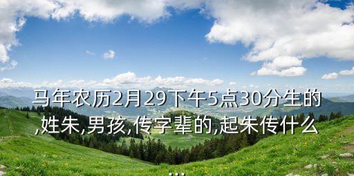 馬年農(nóng)歷2月29下午5點(diǎn)30分生的,姓朱,男孩,傳字輩的,起朱傳什么...