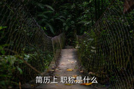 職稱(chēng)是什么意思,中級(jí)以上職稱(chēng)是什么意思