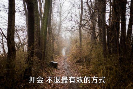  押金 不退最有效的方式