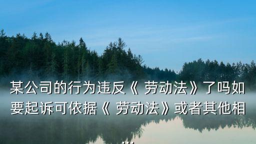某公司的行為違反《 勞動法》了嗎如要起訴可依據(jù)《 勞動法》或者其他相...
