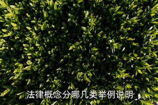 法律解釋的分類