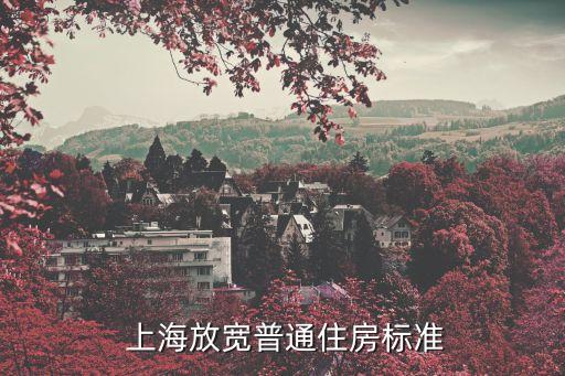  上海放寬普通住房標準