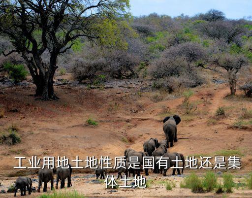  工業(yè)用地土地性質(zhì)是國有土地還是集體土地
