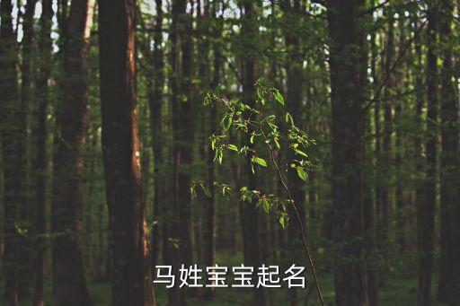 馬和平