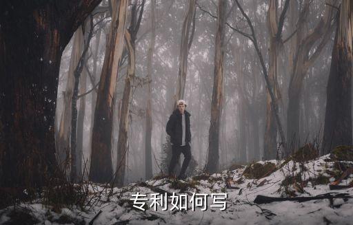  專利如何寫