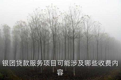 銀團(tuán)貸款服務(wù)項(xiàng)目可能涉及哪些收費(fèi)內(nèi)容