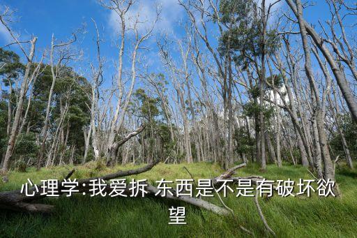 心理學(xué):我愛拆 東西是不是有破壞欲望