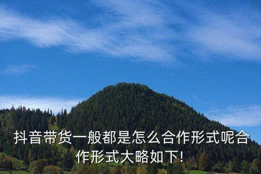 抖音達人合同協(xié)議,抖音小店合同協(xié)議在哪里