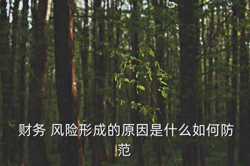  財(cái)務(wù) 風(fēng)險(xiǎn)形成的原因是什么如何防范