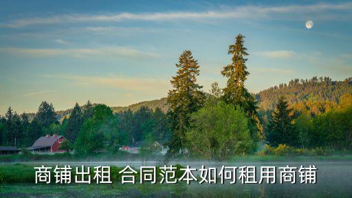 商業(yè)合同模板房地產(chǎn),房地產(chǎn)合同臺賬excel模板