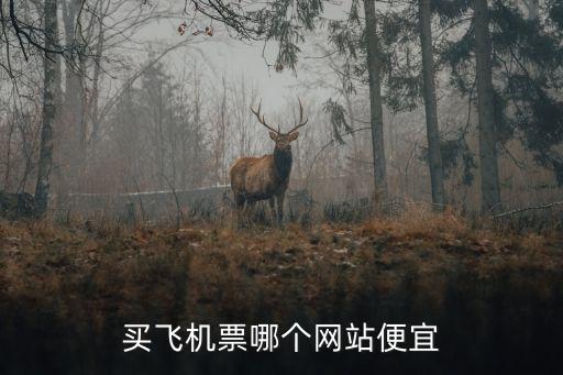 買飛機(jī)票哪個(gè)網(wǎng)站便宜