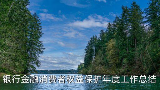 銀行金融消費(fèi)者權(quán)益保護(hù)年度工作總結(jié)