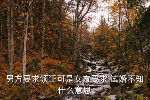 試婚什么意思,男人提出試婚什么意思