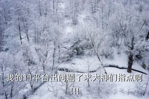 我11